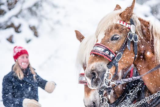 Horse-drawn sleigh ride in Altenmarkt-Zauchensee