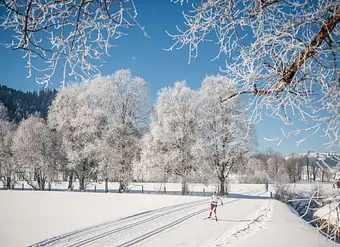 Cross-country skiing in Altenmarkt in Salzburger Land